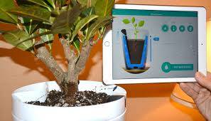 With a database of over 7,000 different plants, your plant is likely in their database. It will absolutely flourish under this new technological innovation.