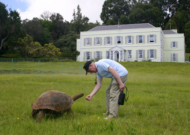 At 182-year-old, Jonathan the giant tortoise is still going strong. He just might be the oldest living tortoise, or even terrestrial animal, in the world.