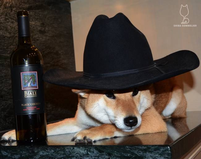 Apparently most wines go well with hats?