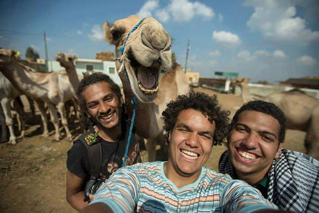 This is probably the only camel who wasn't camera shy, spitting, or biting when some tourists <a href="https://www.viralnova.com/camel-selfie/" target="_blank">wanted to take a selfie</a>.