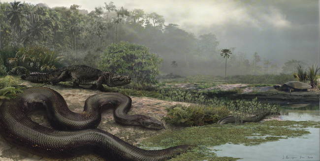 3.) Titanoboa (the giant snake)