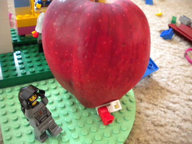 9.) The largest apples can weigh about the same as a half gallon of milk.