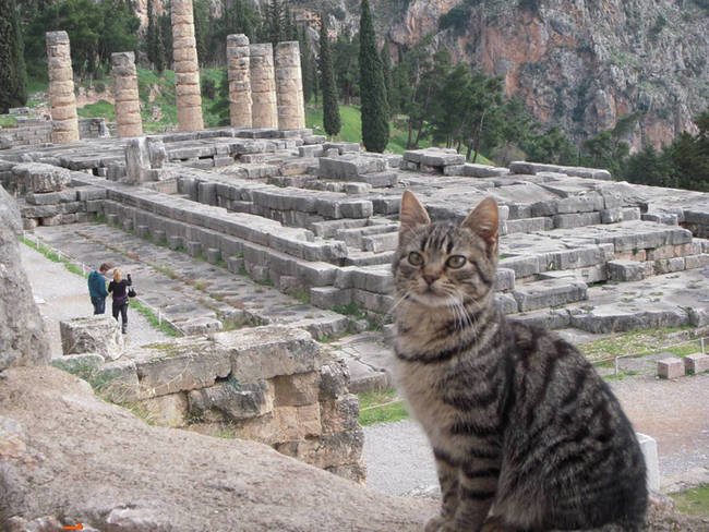 21.) In awe soaking up The Oracle at Delphi.