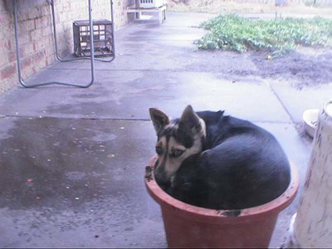 15.) Curled up in a ball? Check. Hating the rain? Double check.