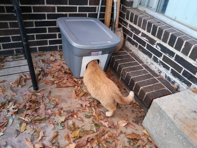 A perfect cat habitat.