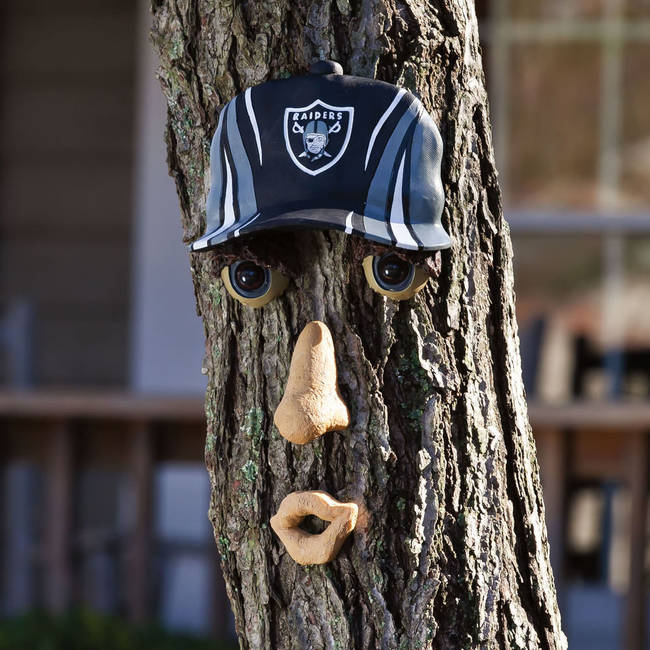 <a href="https://www.skymall.com/nfl-forest-faces/29007GRP.html" target="_blank">NFL Forest Faces</a>