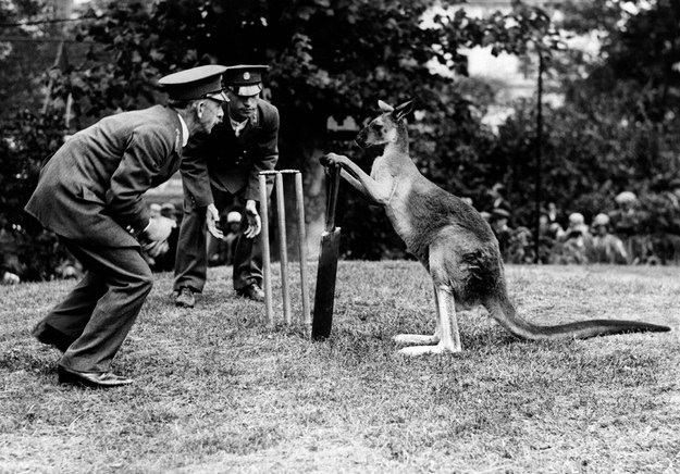 6.) "No pressure, but the whole game is on your shoulders now, Roo."