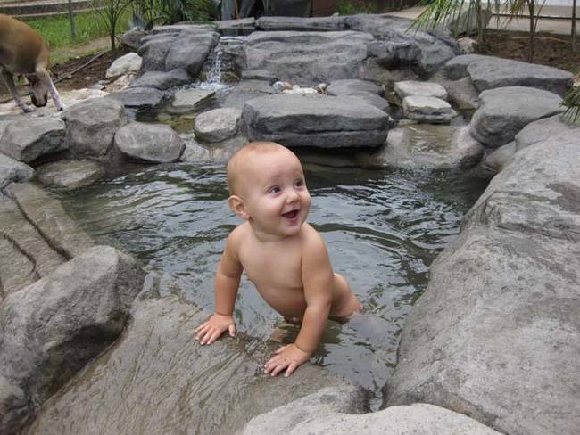 His son loves the backyard's newest addition!