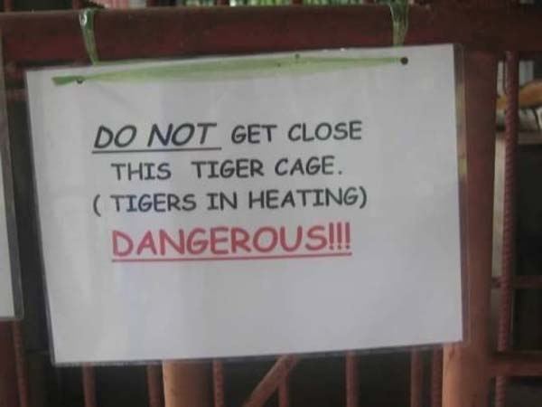 5.) You're right. I'm sure heated tigers are actually pretty angry.