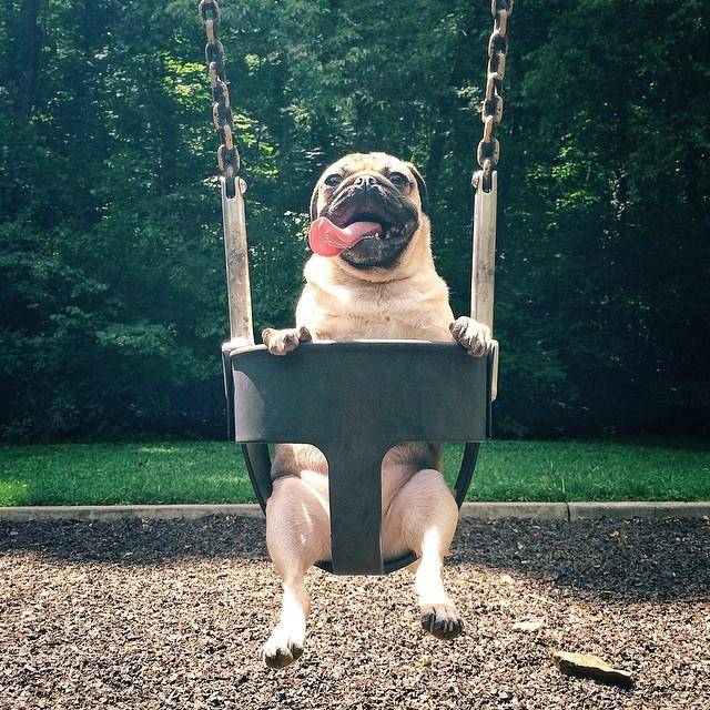 Swing into the day: Time to get some of that sweet sweet swing-set action.