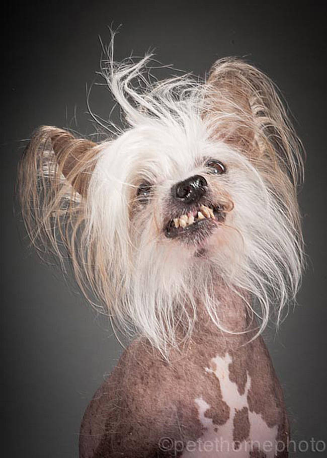 Colonel Sanders, 10 years old.