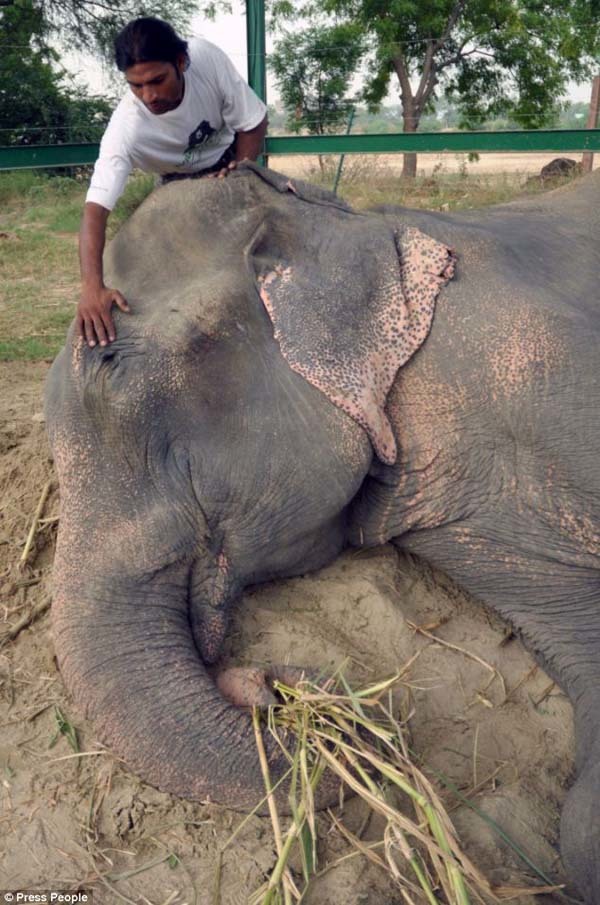 The long and difficult rescue was emotional for Raju, but also for his saviors.