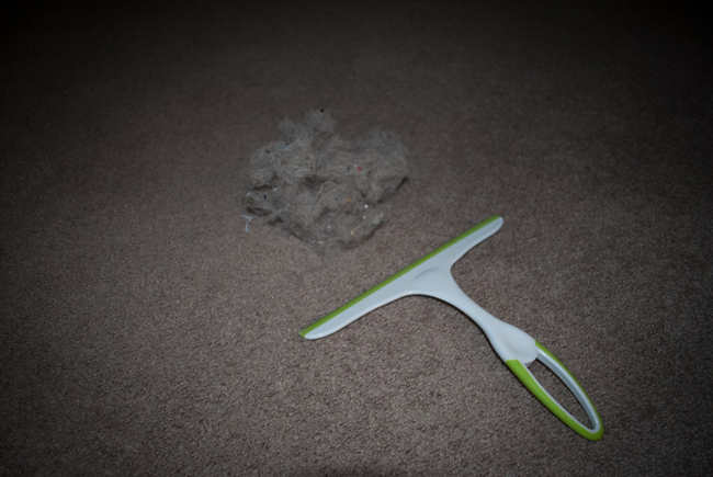 5.) Use a squeegee to get that hard-to-remove dog hair out of your carpets.