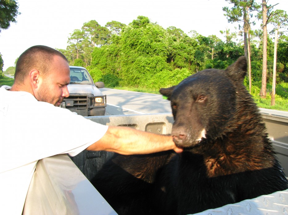 Something tells me he'll have quite a story to tell his bear friends.