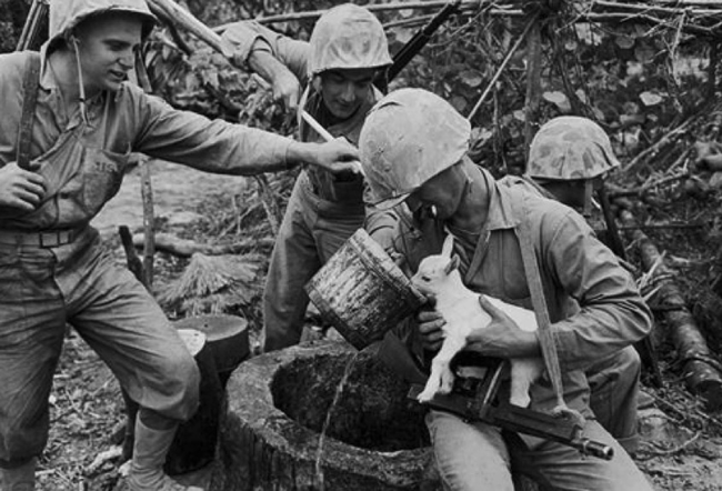 4.) American Marines give a baby goat some water during World War II.