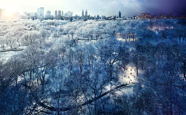 Central Park, New York City