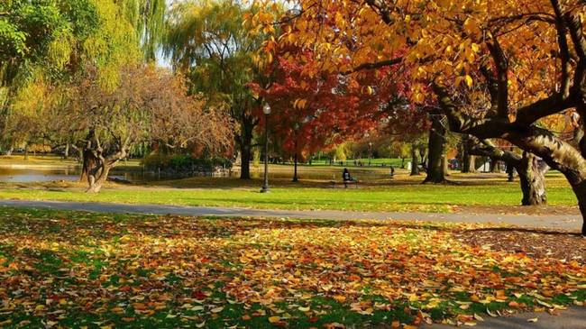 Boston Public Garden, Boston, MA, USA