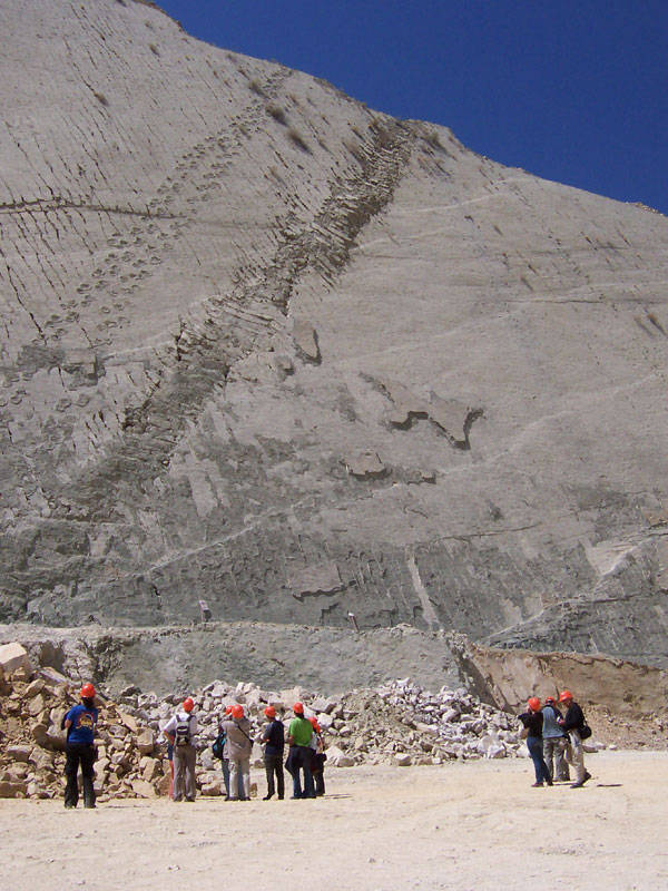 The wall features the tracks of many dinosaurs, even a baby Tyrannosaurus Rex, whose tracks go on for 347 meters (the longest set of dinosaur tracks ever discovered).