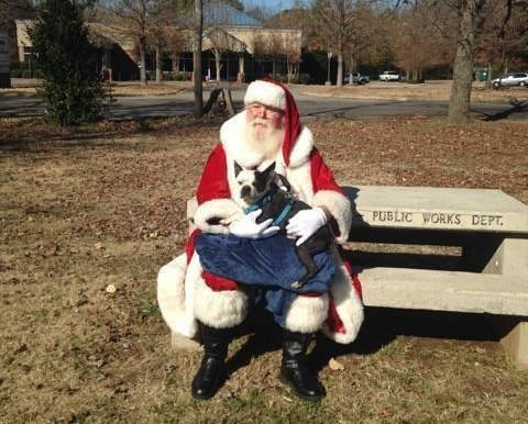 After learning his fate, the girls who found Butch decided to help him have the most memorable time of his life before he would be put to sleep. To start, they took Butch to meet Santa "Paws" for an early Christmas.