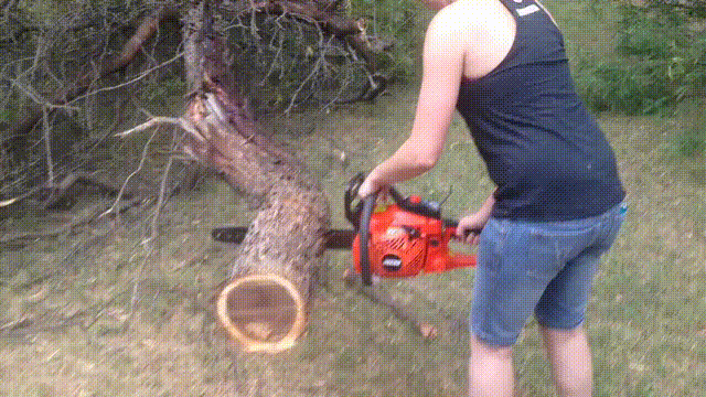 Chopping down the tree that would soon become the box holding her engagement ring. If only she had known it then!