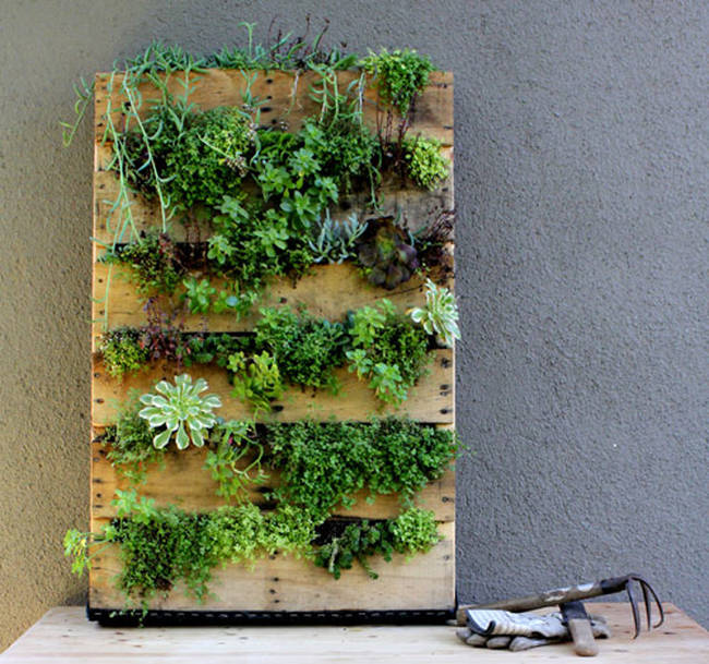 Create a nifty upright garden.