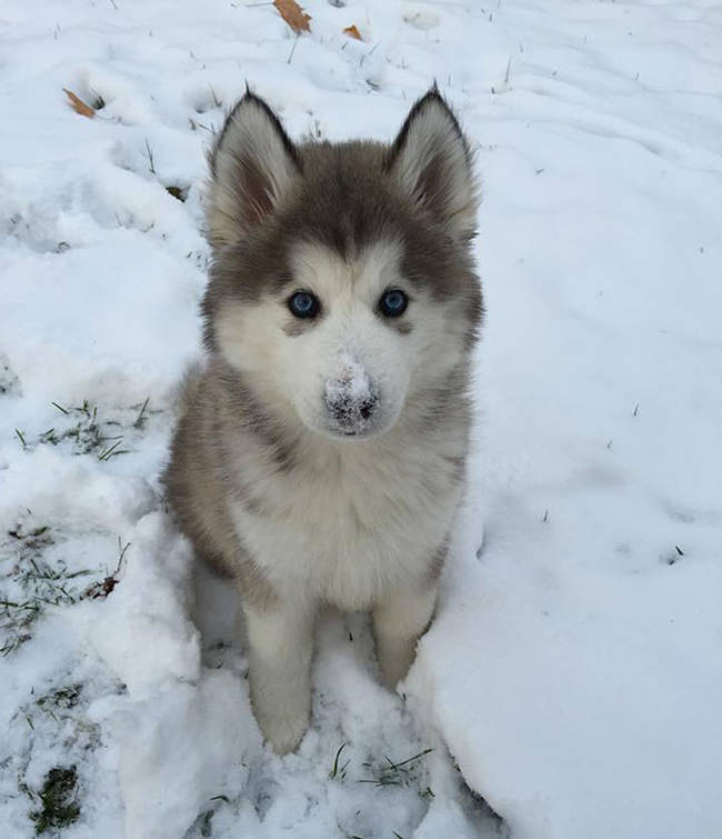 His first snowfall feels just right.