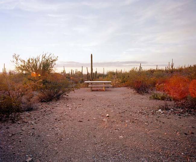 Saguaro National Park - Arizona.