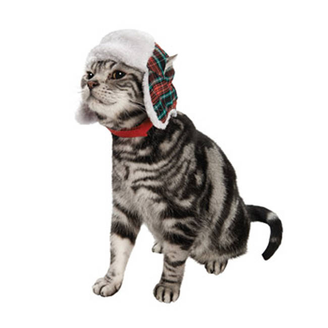 <a href="https://www.petco.com/product/123971/Petco-Holiday-Trapper-Cat-Hat.aspx" target="_blank">A dapper hat</a> for your dapper cat.