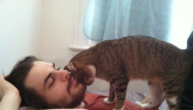 1.) When cats head butt you, they are showing trust to make you feel safe.