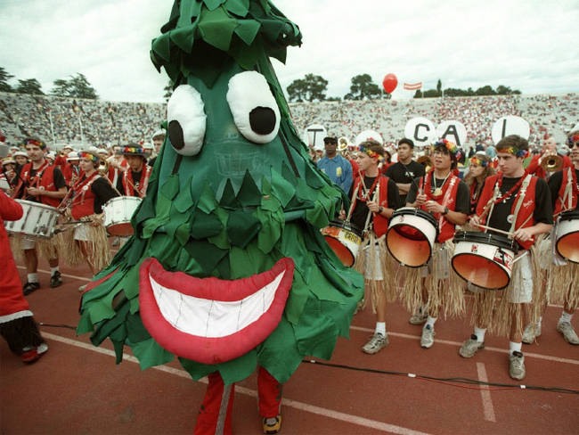 This mascot is a tree. Why? Who knows.