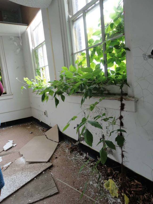 Until 2014, the hospital remained abandoned and rotting. Sadly in October, what remained of the Iola Tuberculosis Sanatorium was completely demolished to make way for a new development project.