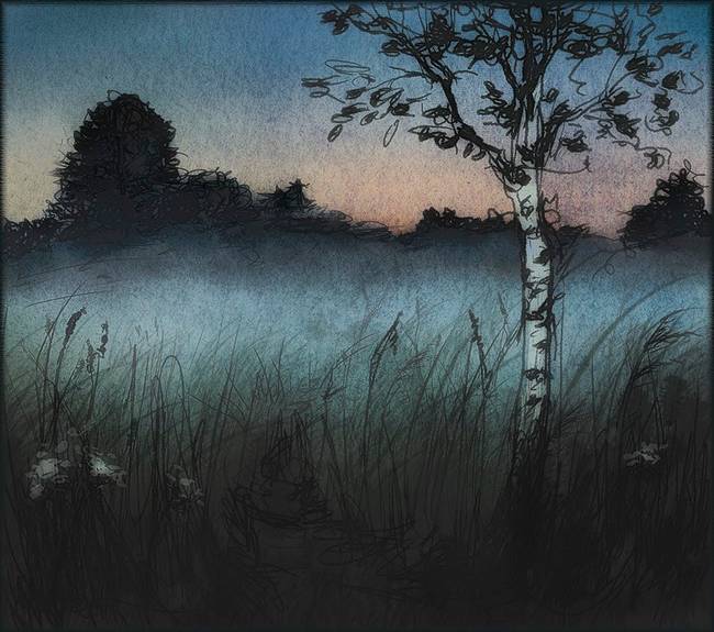 Digital sketch of a field at night