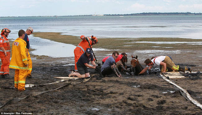 Fire lieutenant Roger Buckle said the mud was "like quicksand."