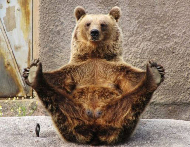 This bendy bear.