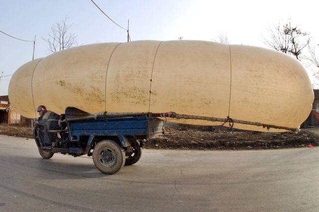 Carl took his job as a giant sausage delivery man very seriously.