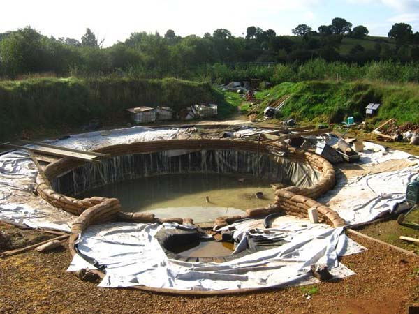 You can purchase guides that help you build your own organic swimming pools.