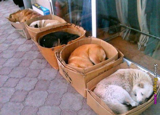 3.) If we fits? We sits.