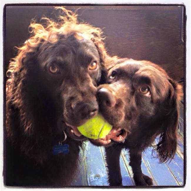 Colt and Lilly from South Carolina