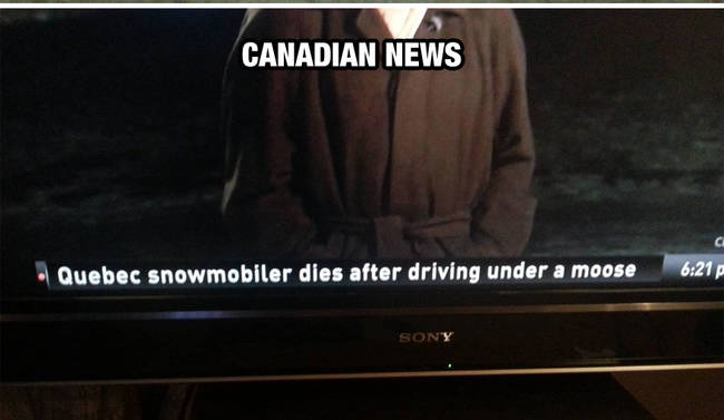 The most Canadian way to die.