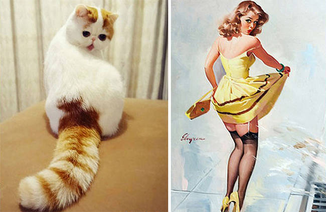 The pin up "cat" of our dreams.