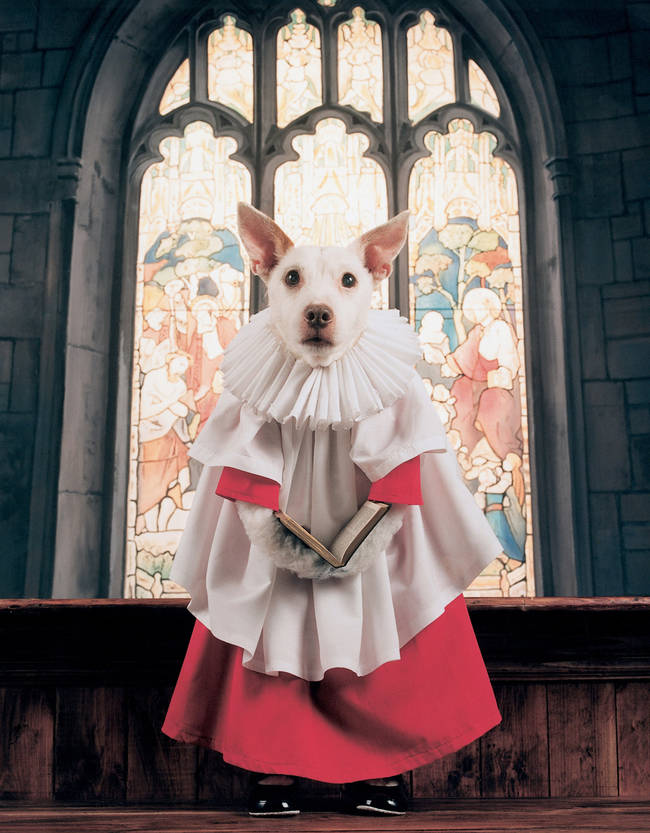 In 2001, she was a very innocent choir dog.