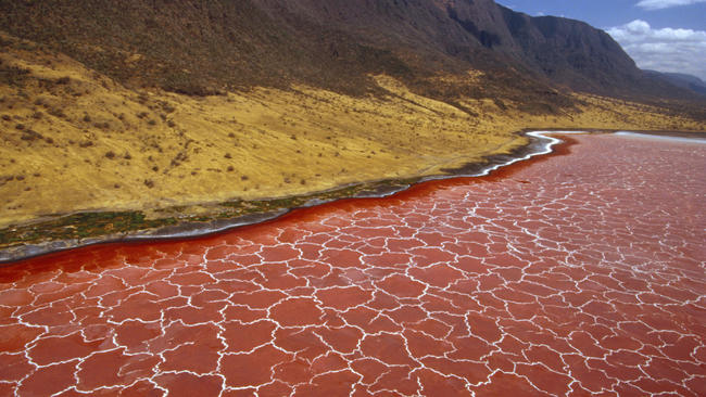 Lake Natron in Tanzania