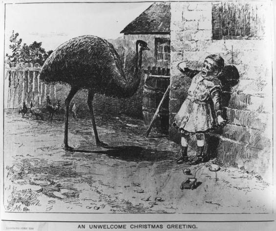 Fear the Christmas emu.