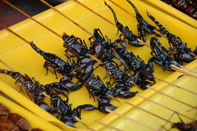 Served in Thailand and China, frying them is said to neutralize the venom in their tails and apparently has a buttery popcorn taste.