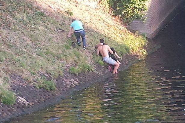 Not too worse for wear, the elderly woman was treated by medics afterward, having only lost her handbag in the whole ordeal.