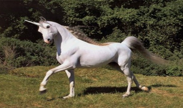 15.) Scotland's national animal is the unicorn.