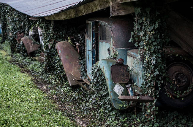 They've been tucked away under makeshift corrugated iron shelters and in various outbuildings for 50 years.