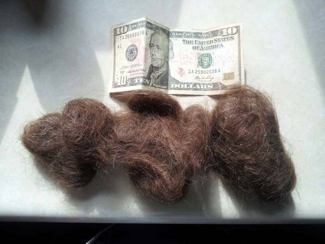 No, she didn't find a $10 bill in the pocket. She found three massive clumps of what looks like human hair.