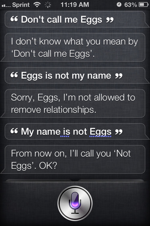 6.) HAHA. Siri really hates you, Eggs!