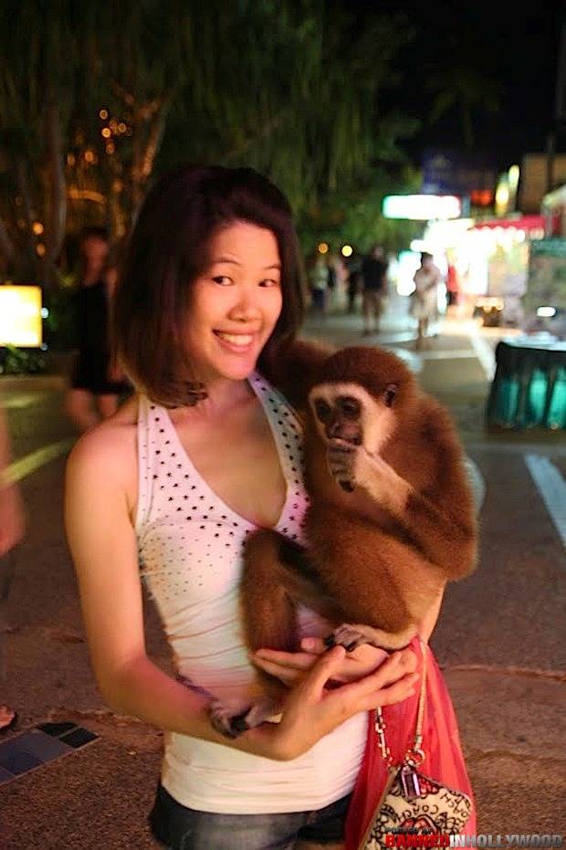 4.) This monkey's plan to pretend to be a purse is apparently working.